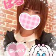 ヒメ日記 2025/07/05 16:44 投稿 日向ぱる メイドin中野（東京ハレ系）