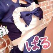 ヒメ日記 2025/07/30 12:33 投稿 日向ぱる メイドin中野（東京ハレ系）