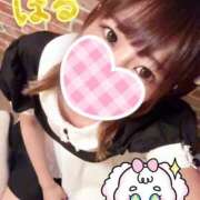 ヒメ日記 2025/08/24 20:06 投稿 日向ぱる メイドin中野（東京ハレ系）