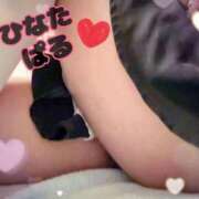 ヒメ日記 2025/09/25 13:07 投稿 日向ぱる メイドin中野（東京ハレ系）