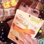 ヒメ日記 2025/10/25 13:16 投稿 日向ぱる メイドin中野（東京ハレ系）