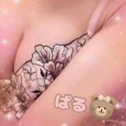 ヒメ日記 2025/10/28 10:05 投稿 日向ぱる メイドin中野（東京ハレ系）