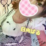 ヒメ日記 2025/11/15 17:15 投稿 日向ぱる メイドin中野（東京ハレ系）