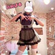 日向ぱる 今日も今日もありがとうです🩷 メイドin中野（東京ハレ系）