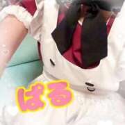 ヒメ日記 2026/01/06 00:22 投稿 日向ぱる メイドin中野（東京ハレ系）