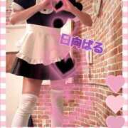 ヒメ日記 2026/01/29 10:51 投稿 日向ぱる メイドin中野（東京ハレ系）