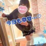 ヒメ日記 2026/02/07 19:40 投稿 日向ぱる メイドin中野（東京ハレ系）