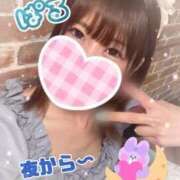 ヒメ日記 2026/02/11 12:46 投稿 日向ぱる メイドin中野（東京ハレ系）