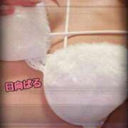 ヒメ日記 2026/02/13 17:13 投稿 日向ぱる メイドin中野（東京ハレ系）