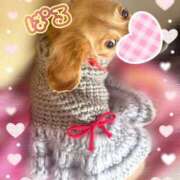 日向ぱる 今日も可愛いメイド服で…💗 メイドin中野（東京ハレ系）