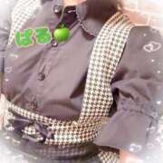 ヒメ日記 2026/03/01 00:32 投稿 日向ぱる メイドin中野（東京ハレ系）