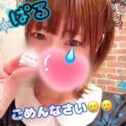 ヒメ日記 2026/03/06 15:50 投稿 日向ぱる メイドin中野（東京ハレ系）