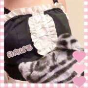 ヒメ日記 2026/03/16 00:46 投稿 日向ぱる メイドin中野（東京ハレ系）