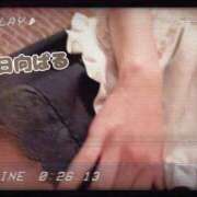 ヒメ日記 2026/04/08 09:31 投稿 日向ぱる メイドin中野（東京ハレ系）