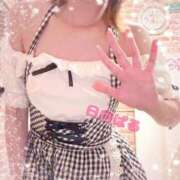 ヒメ日記 2026/06/19 09:35 投稿 日向ぱる メイドin中野（東京ハレ系）