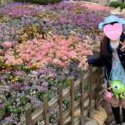 ヒメ日記 2025/04/15 15:12 投稿 桜海せりか メイドin中野（東京ハレ系）