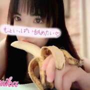 ヒメ日記 2026/08/13 19:14 投稿 桜海せりか メイドin中野（東京ハレ系）