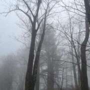 千葉ゆうか 🤍 メイドin中野（東京ハレ系）