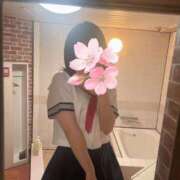 ヒメ日記 2025/04/04 20:43 投稿 桜木みのり メイドin中野（東京ハレ系）