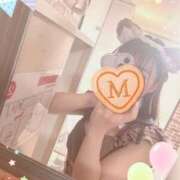 ヒメ日記 2025/04/18 20:38 投稿 桜木みのり メイドin中野（東京ハレ系）