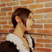 ヒメ日記 2025/03/06 18:25 投稿 三上みお メイドin中野（東京ハレ系）