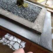 ヒメ日記 2026/01/26 18:06 投稿 三上みお メイドin中野（東京ハレ系）