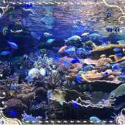 ヒメ日記 2025/03/02 23:40 投稿 さつき 即トク奥さん