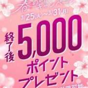 ヒメ日記 2025/03/24 18:20 投稿 さつき 即トク奥さん
