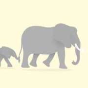 ヒメ日記 2025/04/28 11:50 投稿 さつき 即トク奥さん