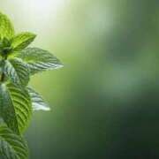 ヒメ日記 2025/06/20 13:20 投稿 さつき 即トク奥さん