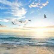 ヒメ日記 2025/06/21 19:10 投稿 さつき 即トク奥さん