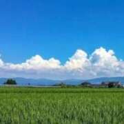 ヒメ日記 2025/07/01 09:50 投稿 さつき 即トク奥さん