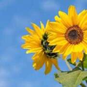 ヒメ日記 2025/07/14 12:50 投稿 さつき 即トク奥さん