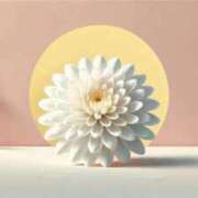 ヒメ日記 2025/09/09 12:10 投稿 さつき 即トク奥さん