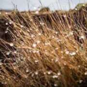 ヒメ日記 2025/10/08 13:43 投稿 さつき 即トク奥さん