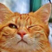 ヒメ日記 2025/10/11 13:50 投稿 さつき 即トク奥さん