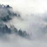 ヒメ日記 2025/11/07 11:20 投稿 さつき 即トク奥さん