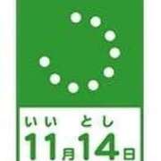 ヒメ日記 2025/11/14 14:55 投稿 さつき 即トク奥さん