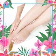 ヒメ日記 2025/11/26 13:20 投稿 さつき 即トク奥さん