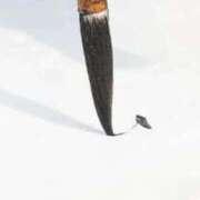 ヒメ日記 2025/12/12 13:00 投稿 さつき 即トク奥さん