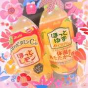 ヒメ日記 2025/12/29 01:30 投稿 さつき 即トク奥さん