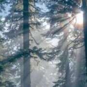 ヒメ日記 2026/04/03 11:50 投稿 さつき 即トク奥さん