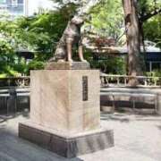 ヒメ日記 2026/04/08 18:20 投稿 さつき 即トク奥さん