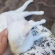 ヒメ日記 2025/04/26 15:30 投稿 なぎさ チューリップ土浦店