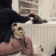 ヒメ日記 2025/05/26 17:48 投稿 なぎさ チューリップ土浦店