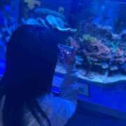 ヒメ日記 2025/08/26 10:50 投稿 なぎさ チューリップ土浦店