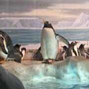 ヒメ日記 2025/09/17 11:44 投稿 なぎさ チューリップ土浦店