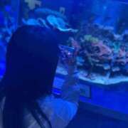 ヒメ日記 2025/09/21 15:34 投稿 なぎさ チューリップ土浦店