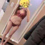 ヒメ日記 2025/02/28 05:14 投稿 野沢あずさ ブルーバード