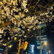 ヒメ日記 2025/04/07 15:46 投稿 はな 大阪ぽっちゃりマニア 谷九店